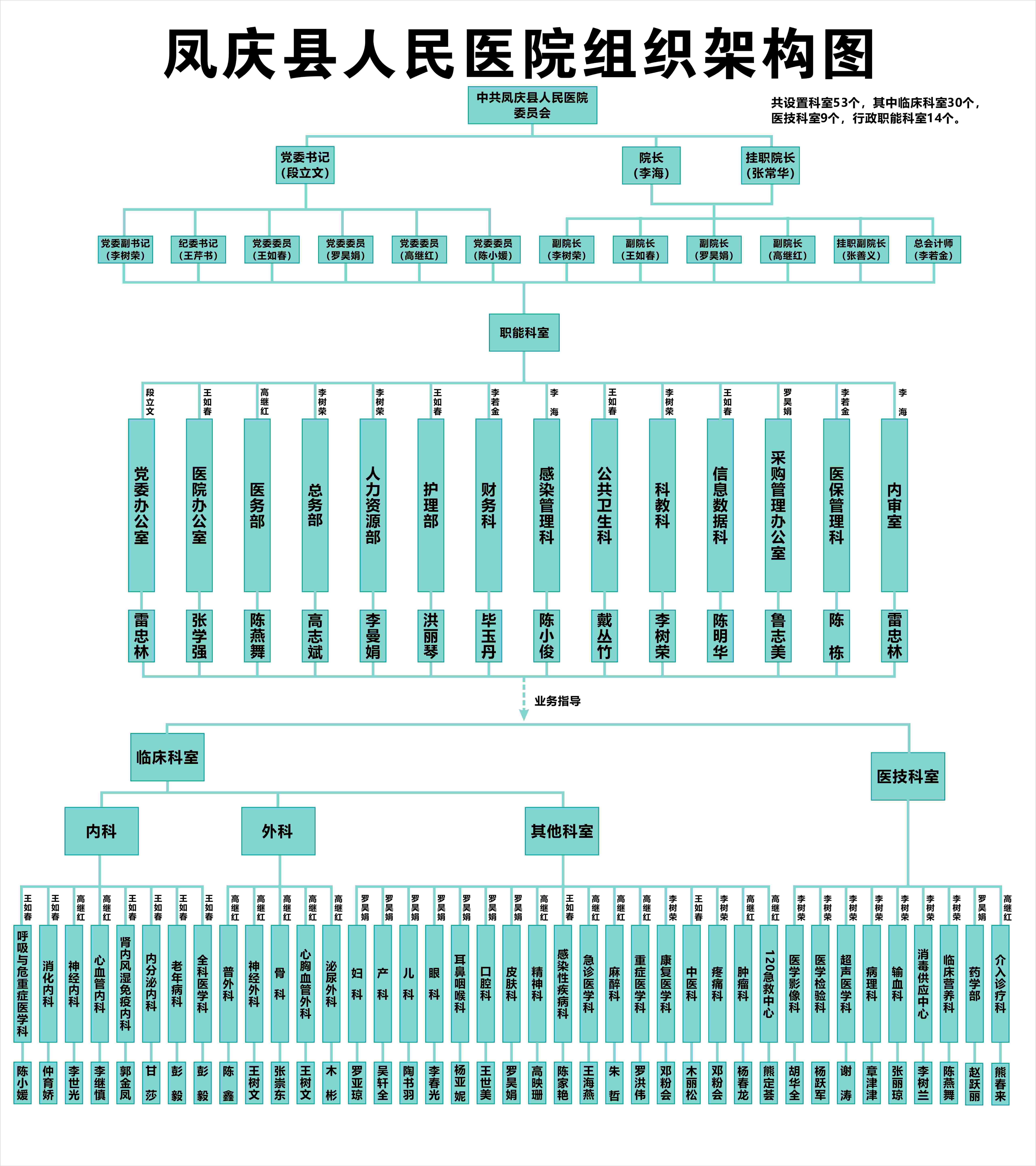 组织架构图（）